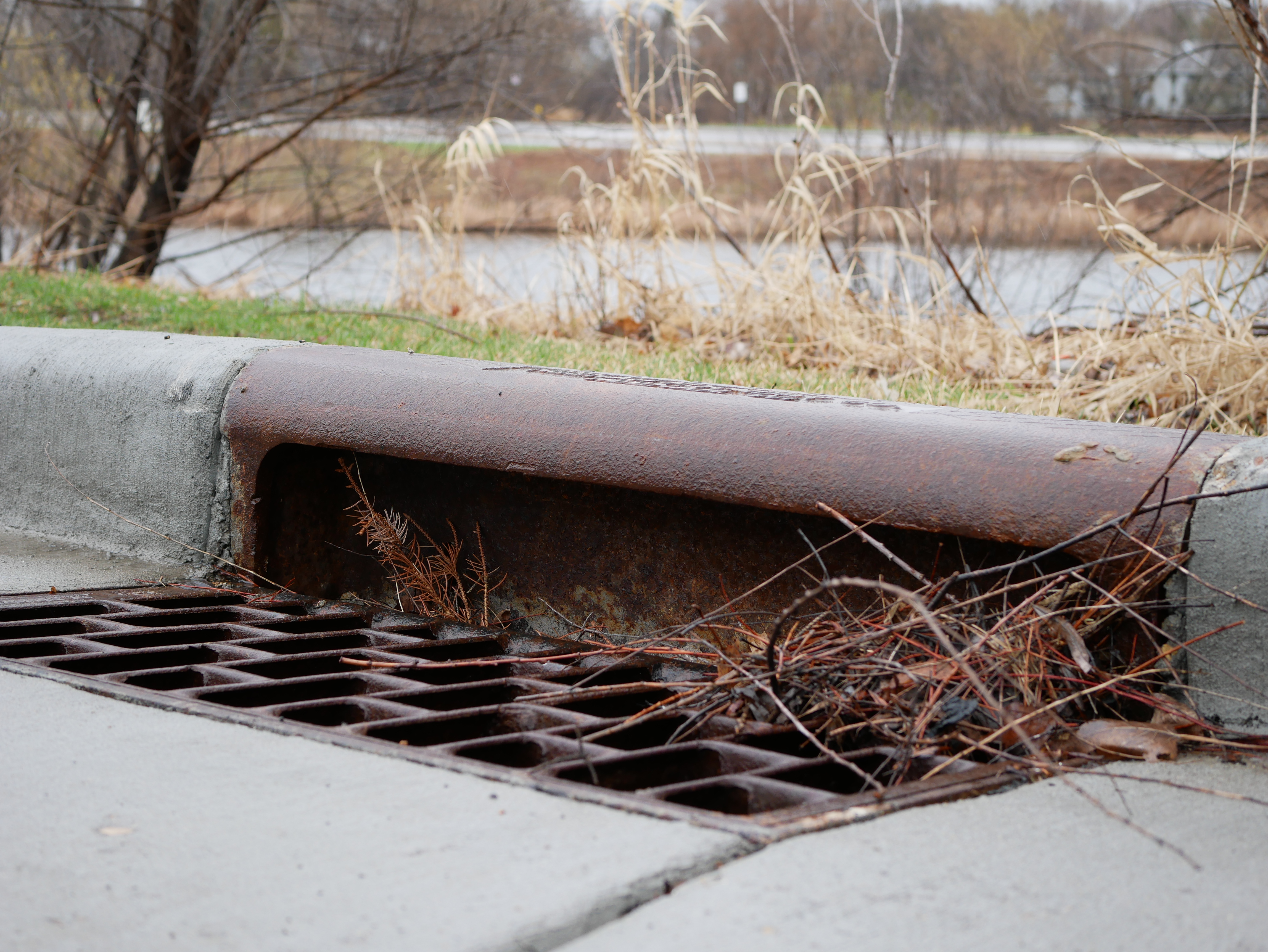 District office_2019Apr22_Storm drain with debris and pond in the background.JPG